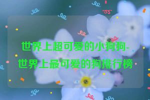世界上超可爱的小狗狗-世界上最可爱的狗排行榜