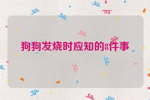 狗狗发烧时应知的8件事