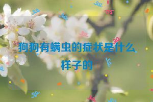 狗狗有螨虫的症状是什么样子的