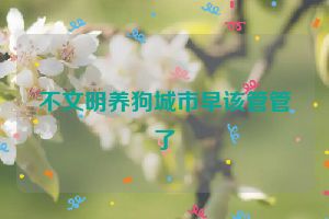 不文明养狗城市早该管管了