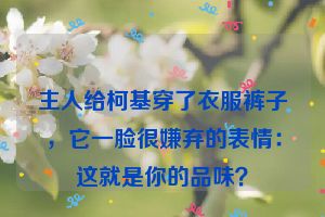 主人给柯基穿了衣服裤子，它一脸很嫌弃的表情：这就是你的品味？