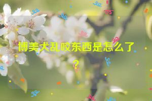 博美犬乱咬东西是怎么了？