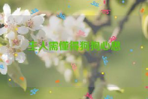 主人需懂得狗狗心思