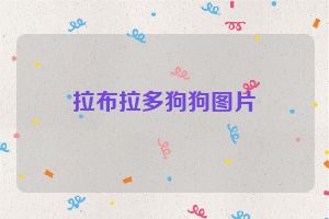 拉布拉多狗狗图片