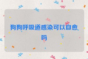 狗狗呼吸道感染可以自愈吗