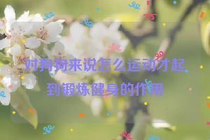 对狗狗来说怎么运动才起到锻炼健身的作用