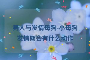 男人与发情母狗-小母狗发情期会有什么动作