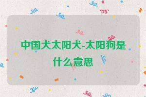 中国犬太阳犬-太阳狗是什么意思