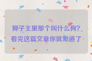 狮子王里那个叫什么狗？看完这篇文章你就知道了