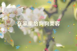 在家里给狗狗美容