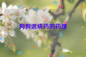 狗狗退烧药的药理