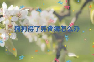 狗狗得了异食癖怎么办