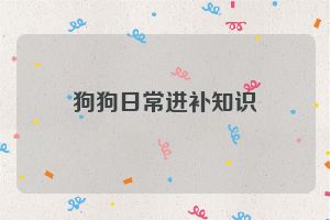 狗狗日常进补知识