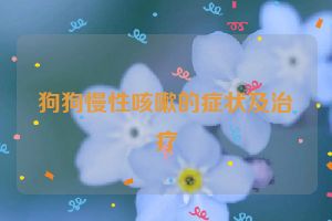 狗狗慢性咳嗽的症状及治疗