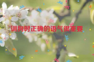 训狗时正确的语气很重要