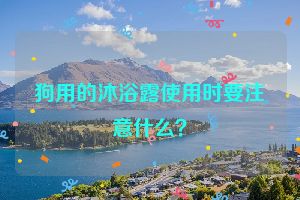 狗用的沐浴露使用时要注意什么？