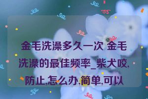 金毛洗澡多久一次 金毛洗澡的最佳频率_柴犬咬,防止,怎么办,简单,可以