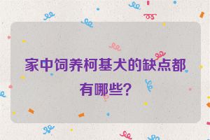 家中饲养柯基犬的缺点都有哪些？