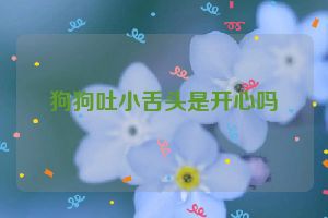 狗狗吐小舌头是开心吗