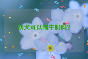 幼犬可以喝牛奶吗？