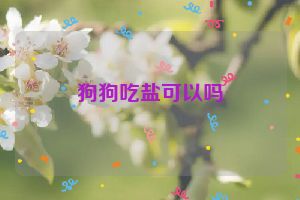 狗狗吃盐可以吗