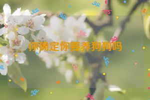 你确定你要养狗狗吗