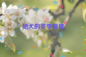 幼犬的冬季管理