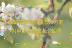 狗鼻子眼睛出血怎么办啊-狗鼻子流血是怎么回事