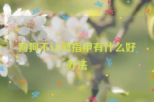 狗狗不让剪指甲有什么好办法