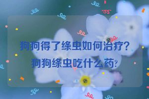 狗狗得了绦虫如何治疗？狗狗绦虫吃什么药?