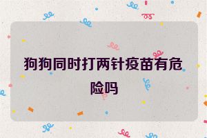 狗狗同时打两针疫苗有危险吗