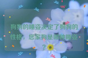 狗狗的睡姿决定了狗狗的性格，您家狗是哪种睡姿？