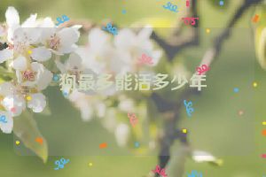 狗最多能活多少年