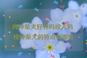 纯种柴犬好养吗咬人吗 纯种柴犬的特点有哪些