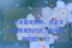 18 万克隆宠物狗,你会支持用克隆的方式,延续宠物的陪伴吗?