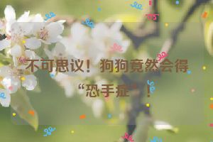 不可思议！狗狗竟然会得“恐手症”！