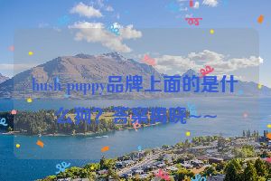 hush puppy品牌上面的是什么狗？答案揭晓~~