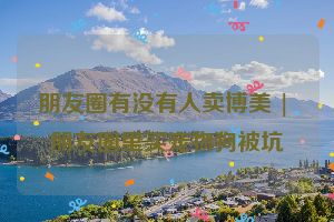 朋友圈有没有人卖博美 | 朋友圈里买宠物狗被坑