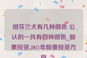 纽芬兰犬有几种颜色 公认的一共有四种颜色_股票投资,2021年股票投资方向