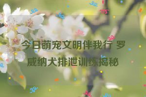 今日萌宠文明伴我行 罗威纳犬排泄训练揭秘