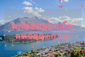 狗狗螨虫的治疗方法(狗有螨虫最快治疗方法)