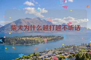 柴犬为什么越打越不听话
