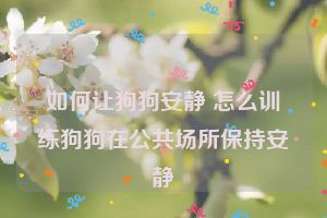 如何让狗狗安静 怎么训练狗狗在公共场所保持安静