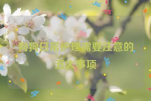 狗狗日常护理需要注意的五大事项