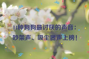 14种狗狗最讨厌的声音：吵架声、吸尘器声上榜！