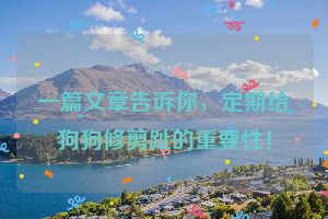 一篇文章告诉你，定期给狗狗修剪趾的重要性！