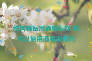 给狗喝医用酒精怎样-狗可以使用酒精消毒吗