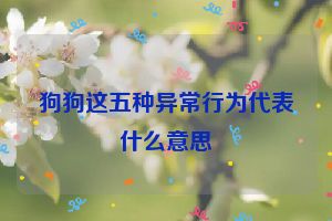 狗狗这五种异常行为代表什么意思