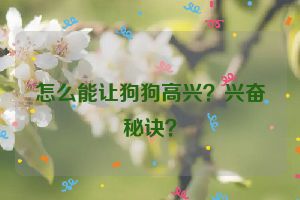 怎么能让狗狗高兴？兴奋秘诀？