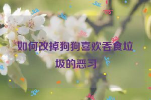 如何改掉狗狗喜欢吞食垃圾的恶习